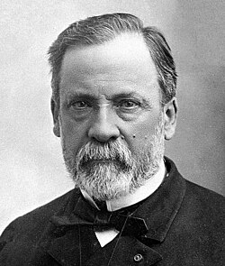 Portrait of Louis Pasteur